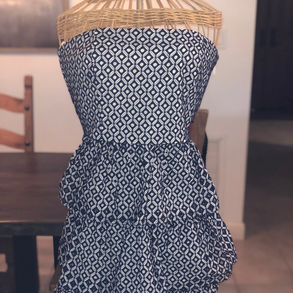 Navy Blue and White dress